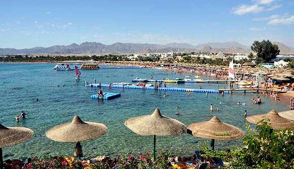 Rotes Meer Tauchen - Sharm el Sheikh - Red Sea Diving International PADI scuba Tauchzentren in Sharm el Sheikh