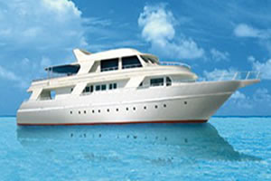 M/Y Diveone Tauchkreuzfahrt Safariboot in Süden Roten Meer Ägypten