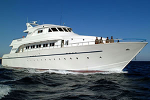M/Y Excellence Tauchkreuzfahrt Safariboot in Süden Roten Meer Ägypten