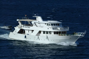 M/Y Sir Coosteau Tauchkreuzfahrt Safariboot in Süden Roten Meer Ägypten