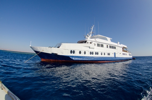 M/Y Sea Queen I Luxus-Motoryacht mit Stahlrumpf  Tauchkreuzfahrt Safariboot in Sharm el Sheikh, Ägypten